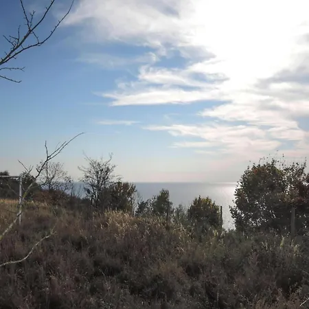 Near Turquoise And Baltic Sea