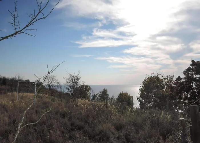 Near Turquoise And Baltic Sea